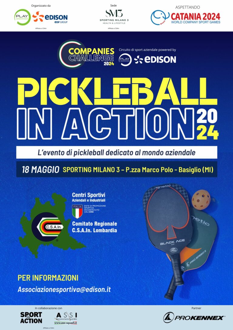 Pickleball in Action 2024